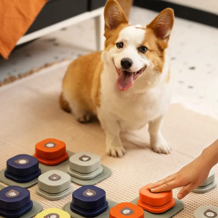 Recordable Pet Communication Button