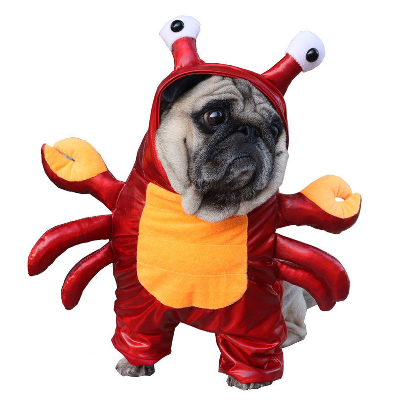 Halloween Cat & Dog Costume