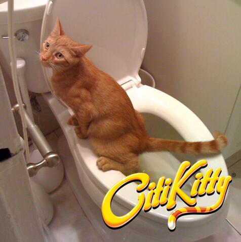 Cat Toilet Trainer – Litter-Free Training Kit