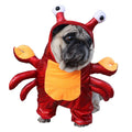 Halloween Cat & Dog Costume