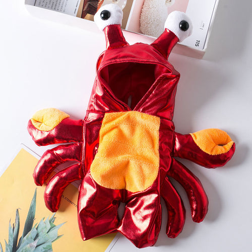 Halloween Cat & Dog Costume