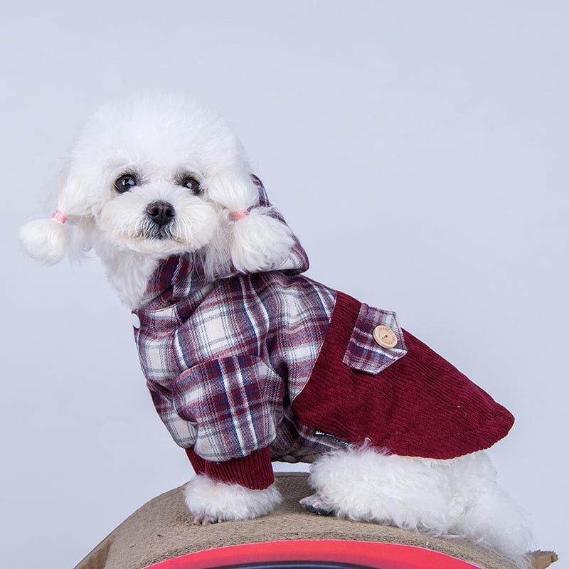 Small Dog Plaid-Collar Coat – Navy & Ash