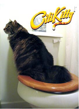 Cat Toilet Trainer – Litter-Free Training Kit