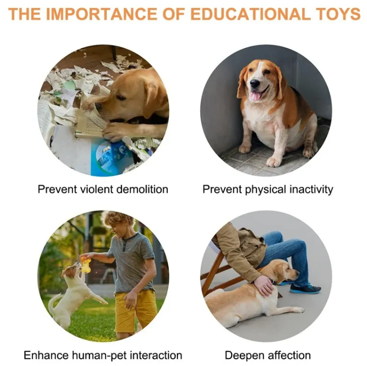 Recordable Pet Communication Button