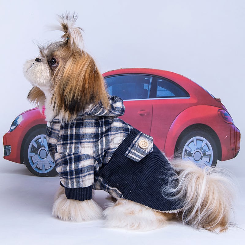 Small Dog Plaid-Collar Coat – Navy & Ash