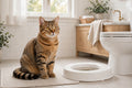 Litter-Free in 2 Weeks – Cat Toilet Training Guide
